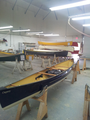 swift osprey canoe for sale